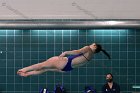 Women's Diving  Wheaton College Women’s Diving vs Mount Holyoke College. - Photo by Keith Nordstrom : Wheaton, Swimming & Diving